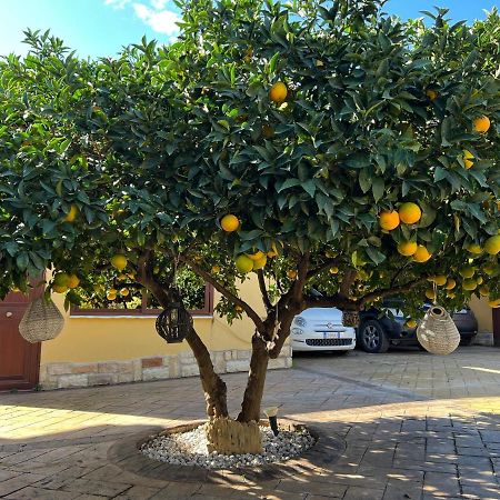 B&B Templi E Arte Villaggio Mosè Eksteriør bilde