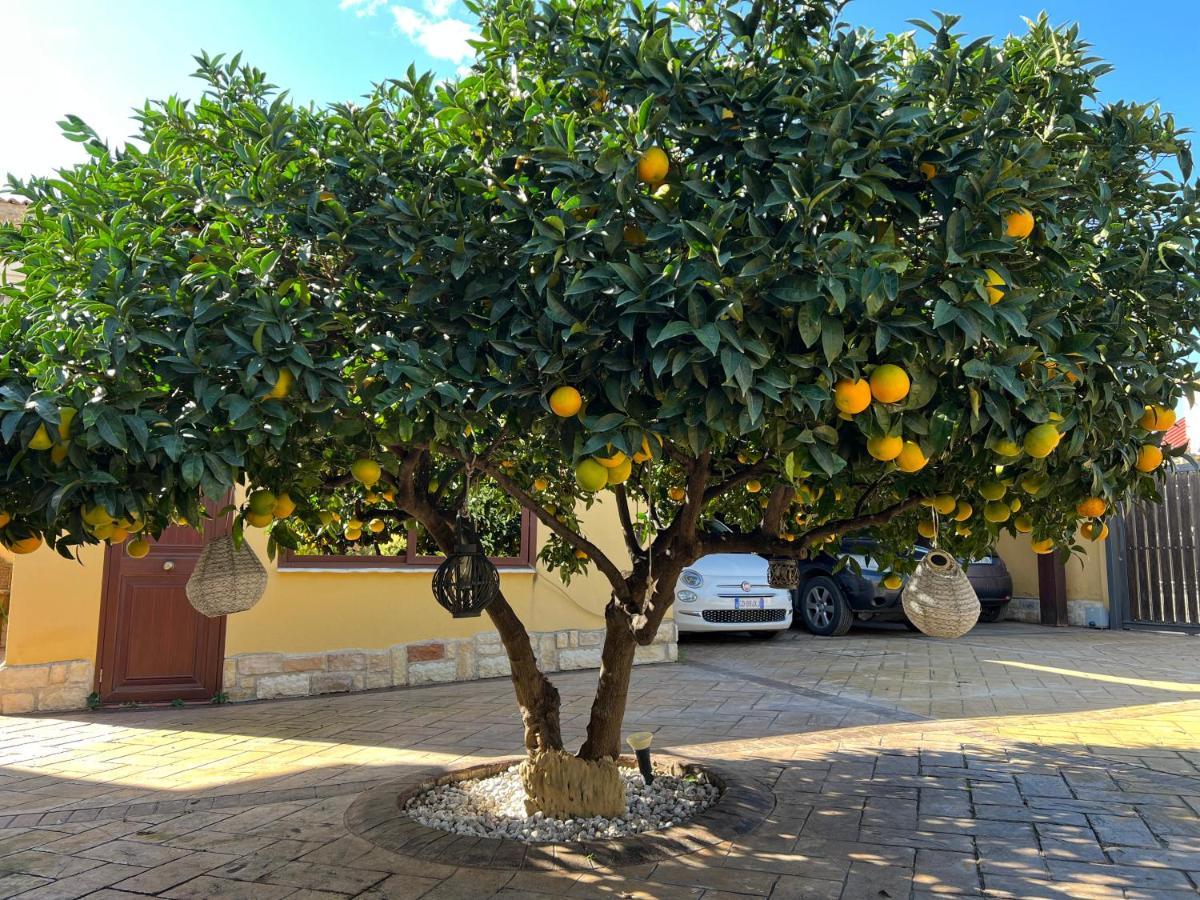 B&B Templi E Arte Villaggio Mosè Eksteriør bilde